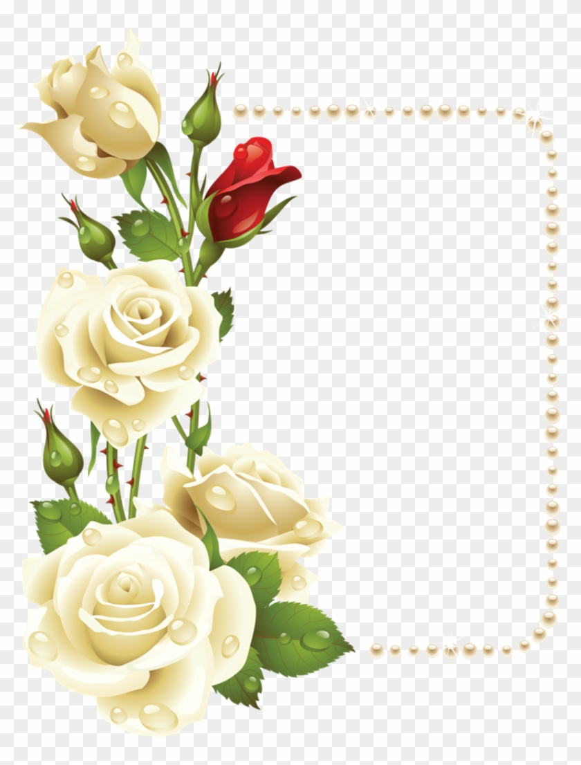 Paper Background, Frame Background, White Roses Background, - White Rose Border Clip Art - Png Download #5146891