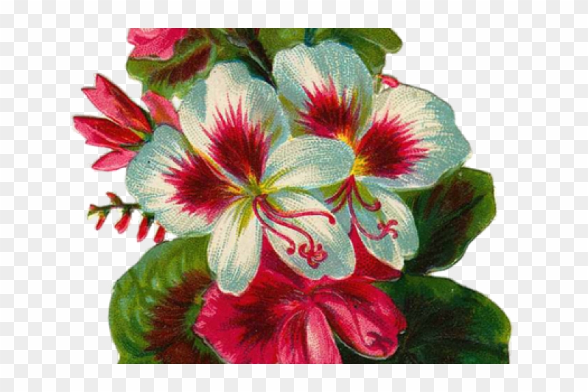 Vintage Flower Clipart Transparent Background - Free Vintage Flower Png
