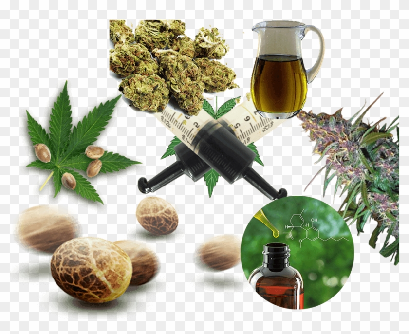 We Have Specialized In Various Weed Products And Strains - Chinese Herb Tea Clipart