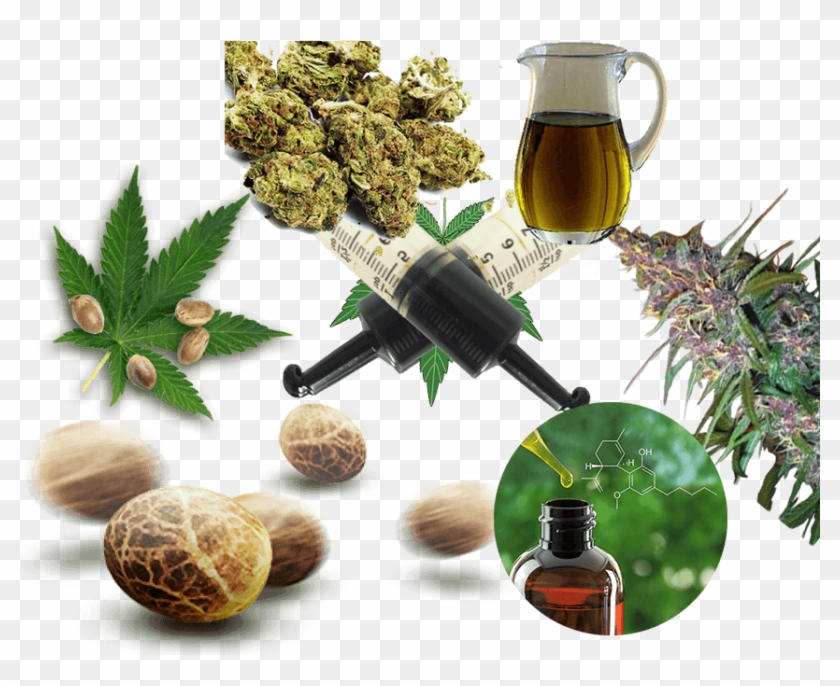We Have Specialized In Various Weed Products And Strains - Chinese Herb Tea Clipart #5148012