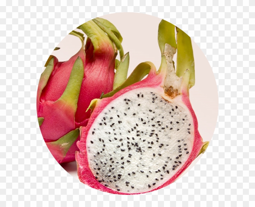 Dragon Fruit Clipart
