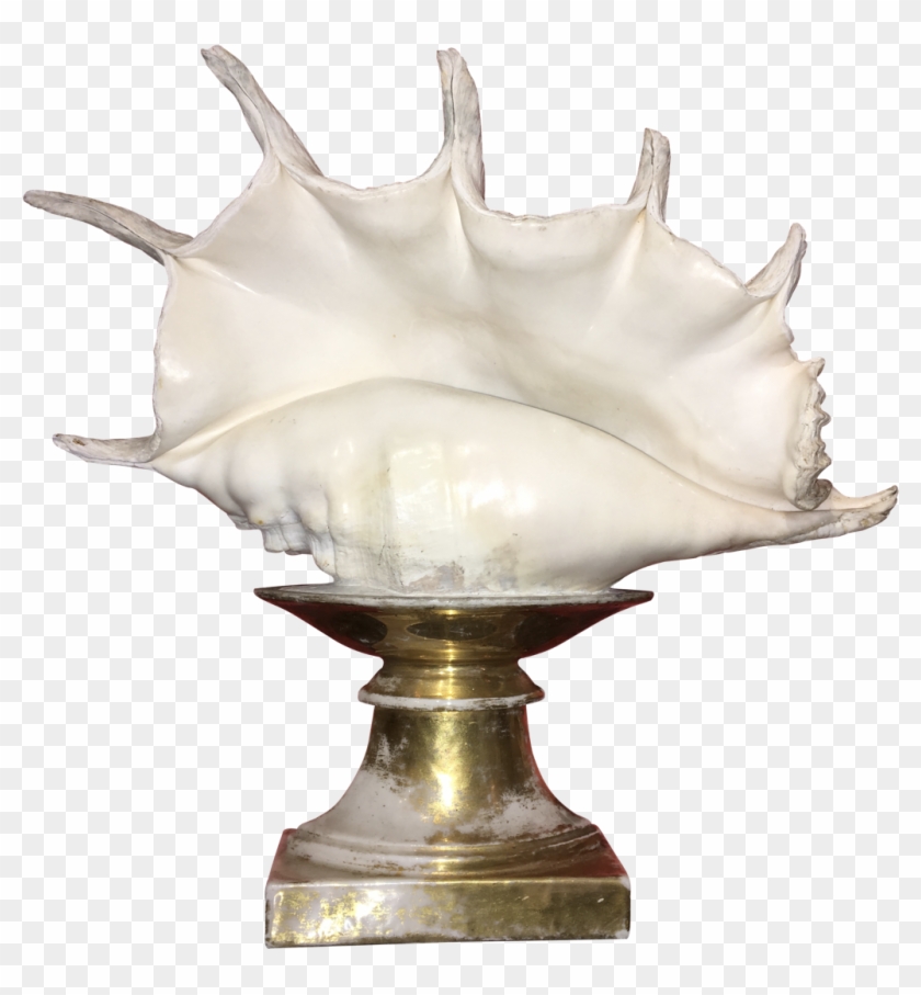 Conch Shell On Old Paris Stand - Lamp Clipart