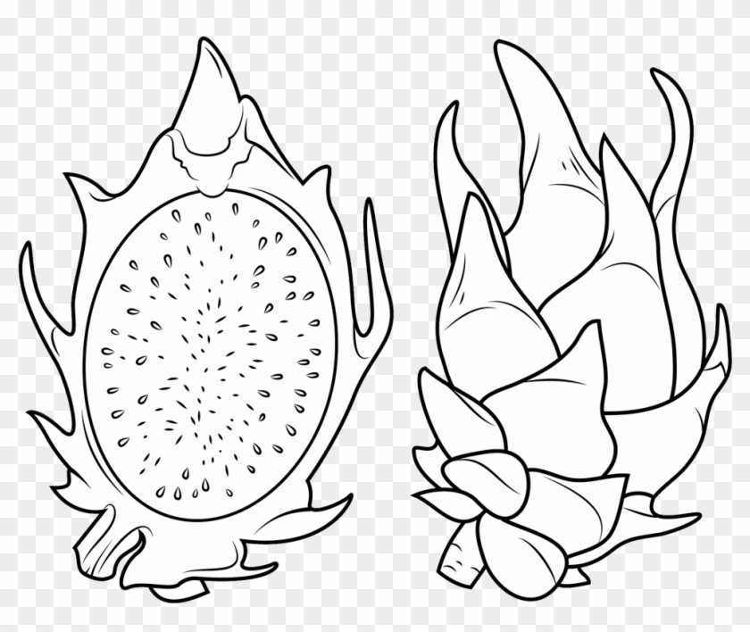 Dragon Fruit Clipart Dragon Fruit Coloring Pages - Illustration - Png Download