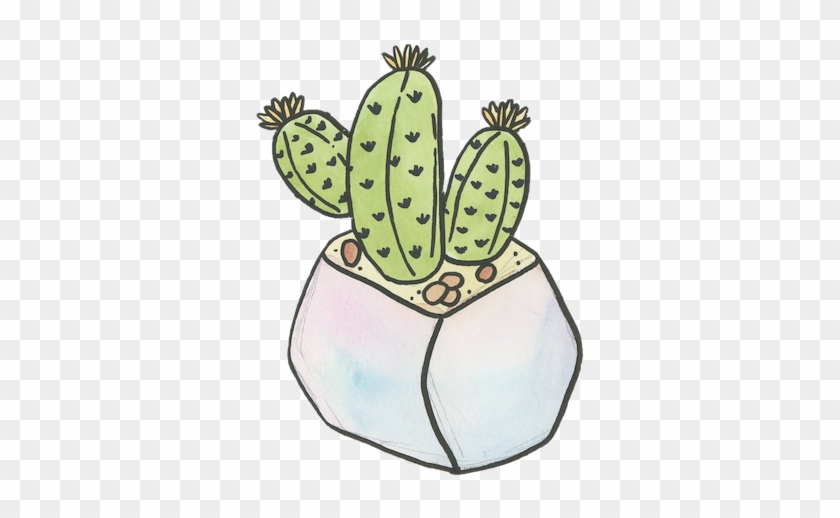 Watercolor - Barbary Fig Clipart #5150752