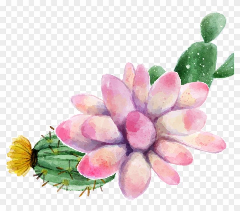 Watercolor Painting Succulent Plant Cactus Transprent - Plants Succulents Watercolor Clipart
