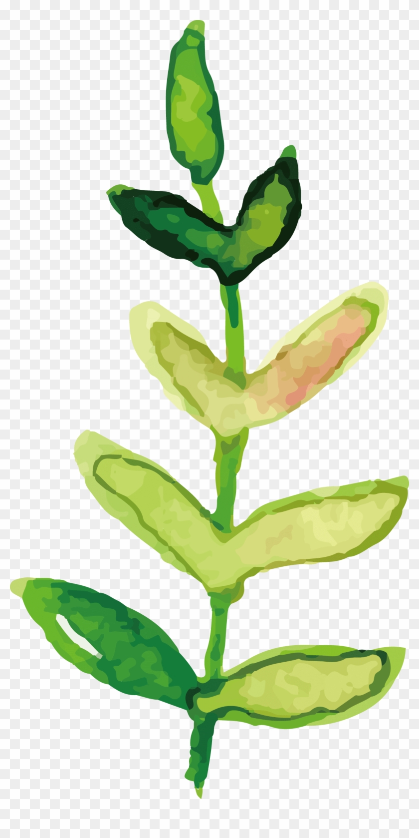 Our Supplies Are Composed Of 100% Natural Ingredients - Illustration Clipart