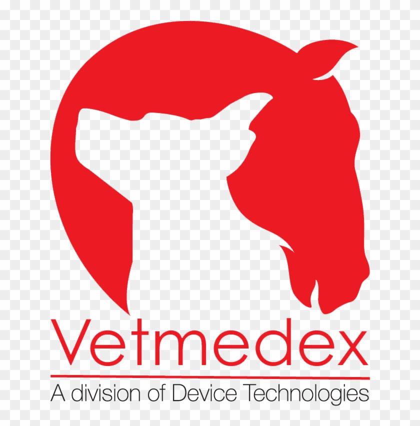 Illustration Clipart