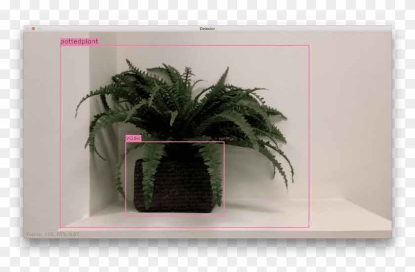 We Needed A Completely Local Solution Running On A - Yolo Object Detection Flowers Clipart #5151921