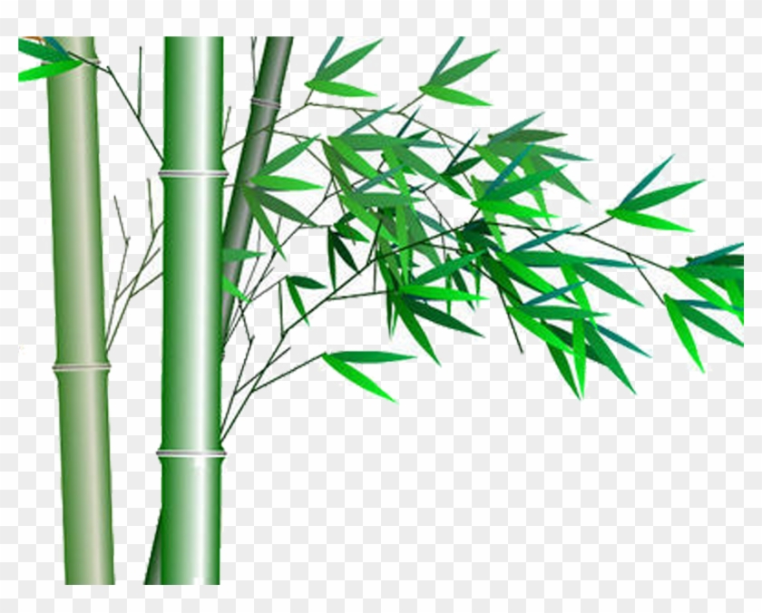 Bamboo Vector Lucky - Gambar Desain Pohon Bambu Clipart
