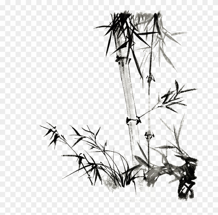 Twig Drawing Hand Drawn - Painting Clipart