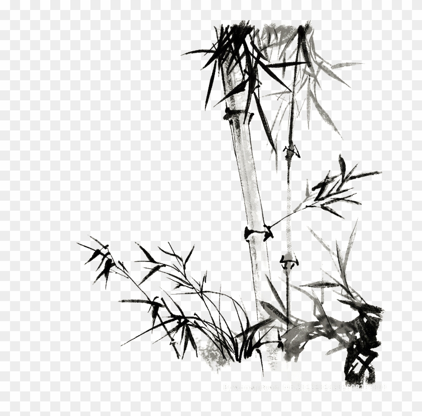 Twig Drawing Hand Drawn - Painting Clipart #5152158