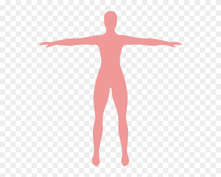 Tabaquismo En Los Adultos - Silueta De Mujer Promedio Clipart #5152229