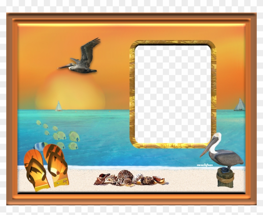 Tropical Pelican Photo Tropicalpelican - Picture Frame Clipart