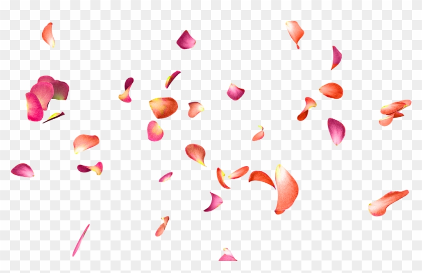 Petalos Sticker Clipart