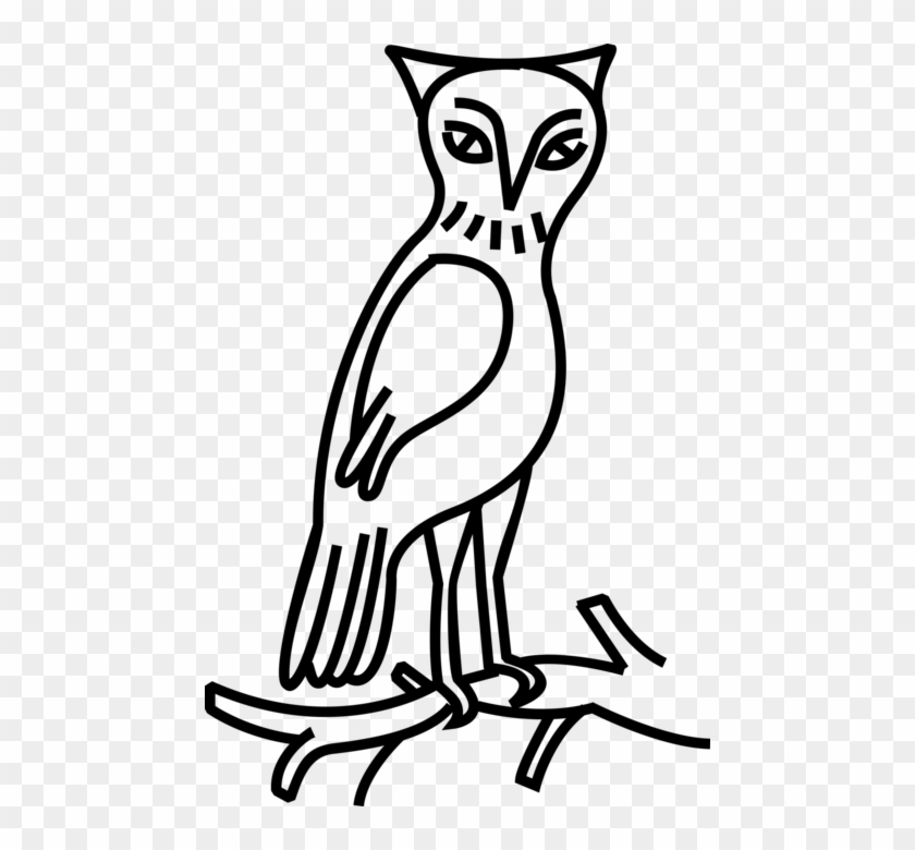 Vector Illustration Of Owl Nocturnal Bird Of Prey Stands - Eastern Screech Owl Clipart #5152731