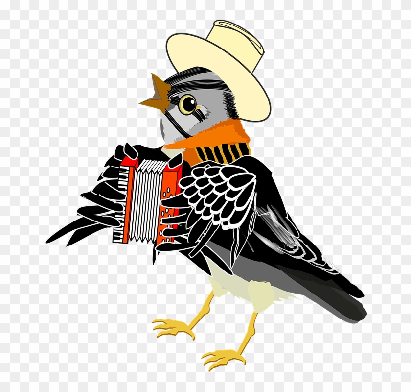Accordion Bird Clipart