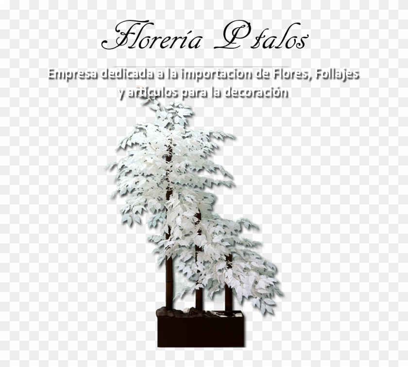 Arbolroberto Petalos - - Christmas Decoration Clipart #5153149