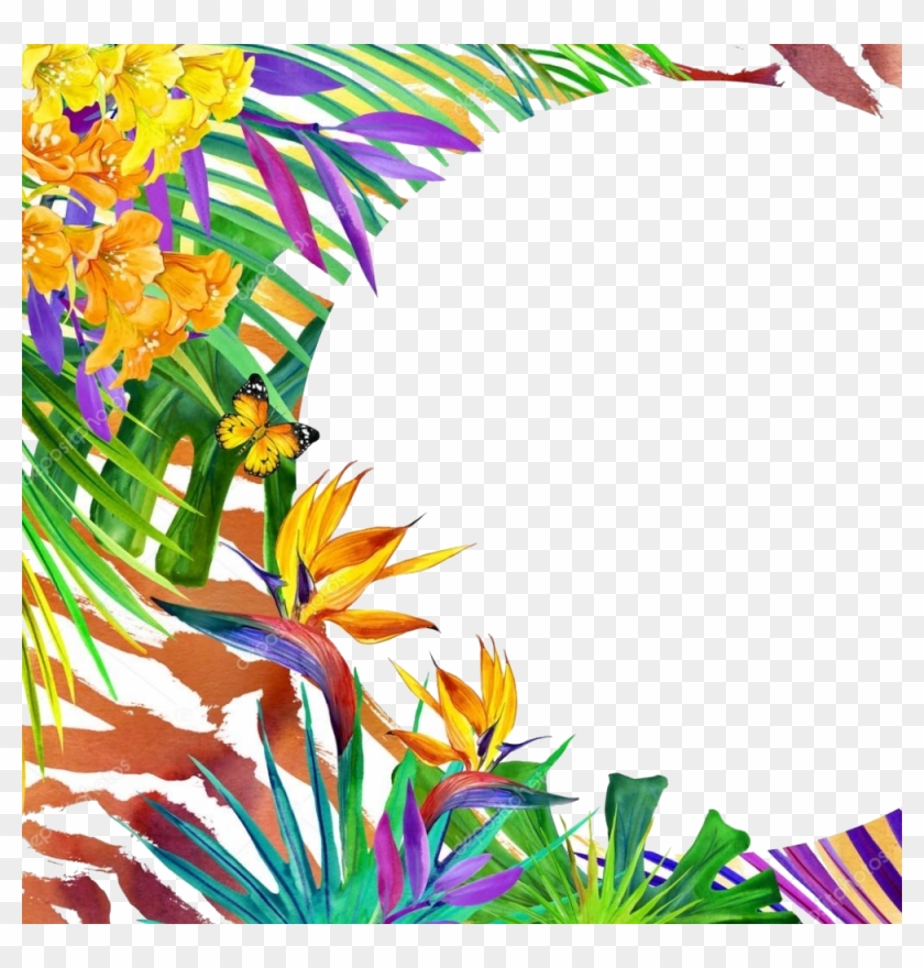 Fond D Image Tropical Clipart #5154251