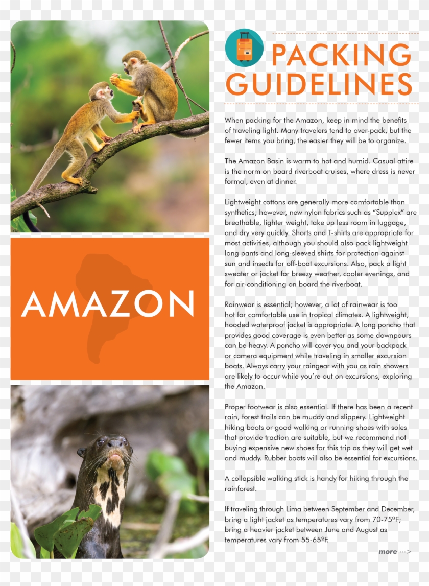 Final Packinglist Amazon - Selling To The Masses Clipart