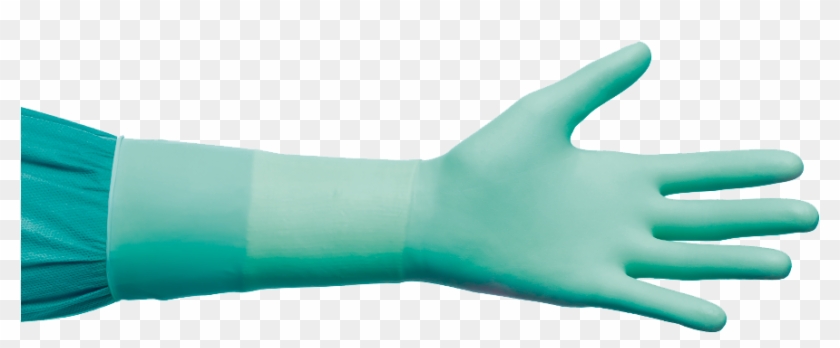 Naturflex® Neo - Para Colorear Guantes Quirurgicos Clipart