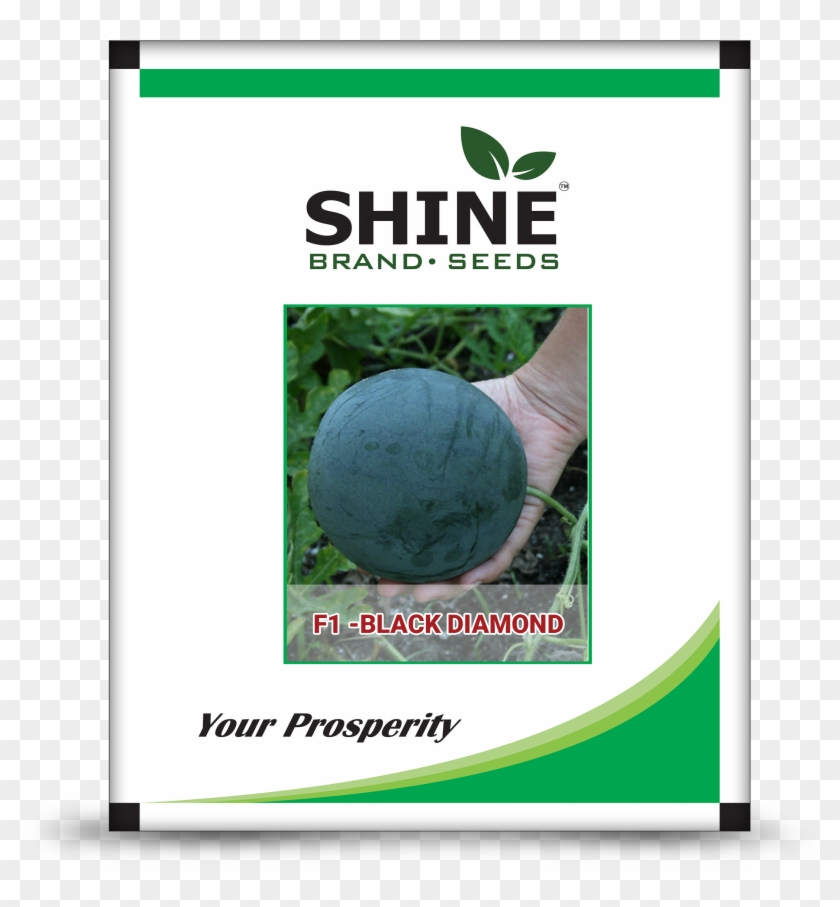 Hybrid Watermelon Seeds Clipart #5155652