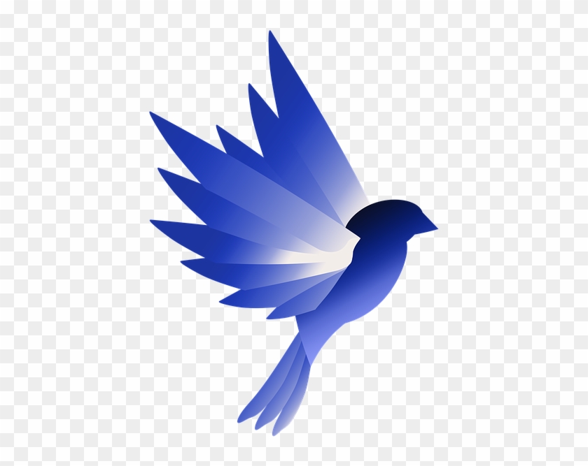 Logo Bird Blue Design Wing Animal - Swallow Clipart #5157437