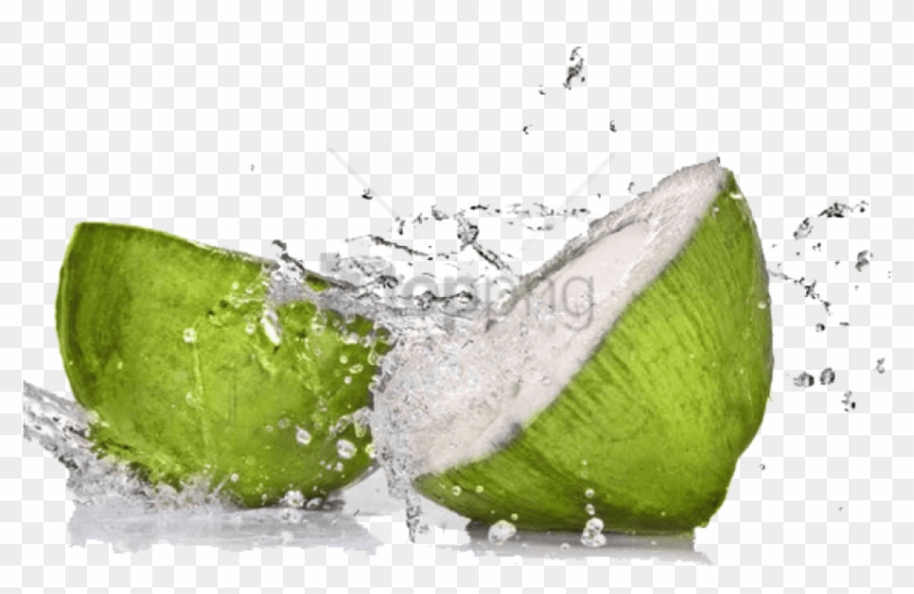 5 Fl Oz Png Image With Transparent Background - Young Green Coconut Clipart
