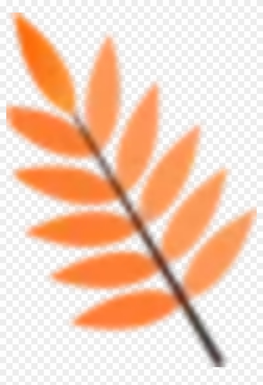 #branch #leaves #fall #yellow #autumn #autumnleaves - Illustration Clipart