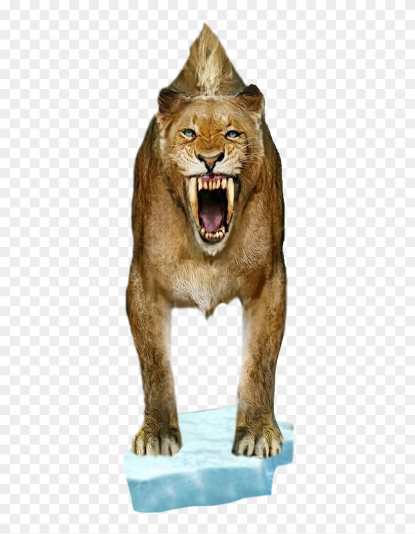 Smilodon Populator - Cat Yawns Clipart