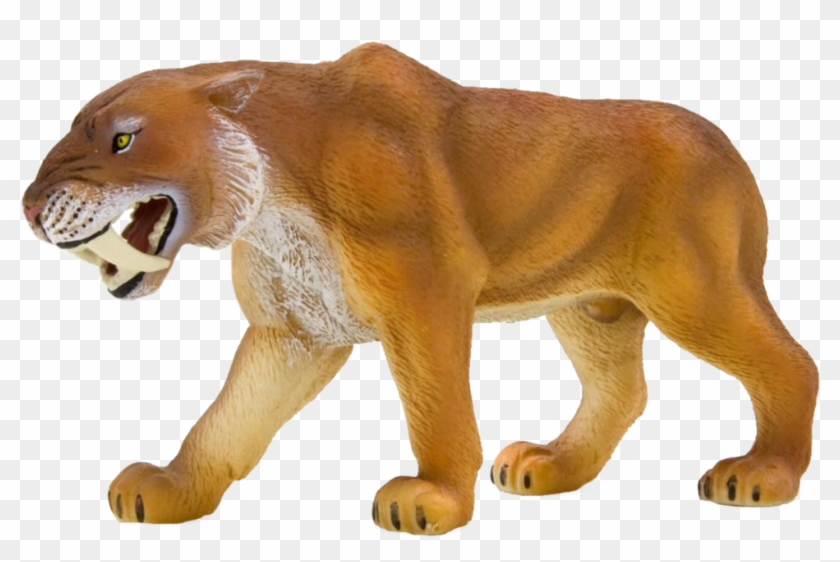 387048 Smilodon - Saber Tooth Tiger Toys Clipart