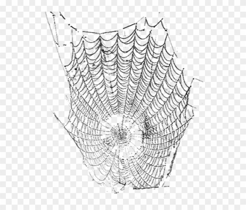 #telaraña #araña - Spider Web Clipart