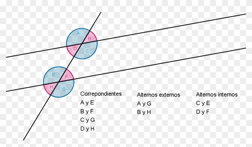 Ángulos Correspondietes Y Alternos - Circle Clipart