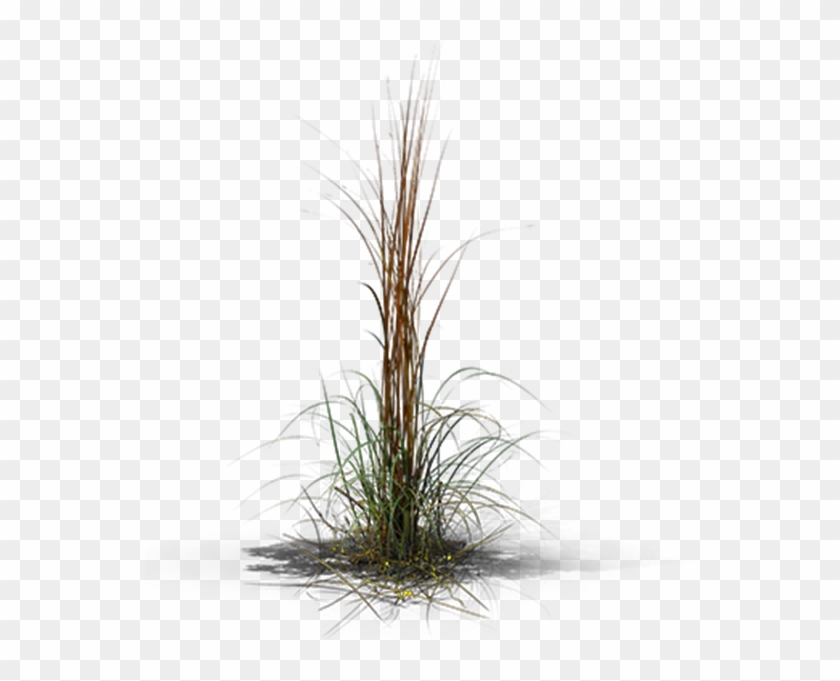 View In My Picture - Grass Clipart #5160364