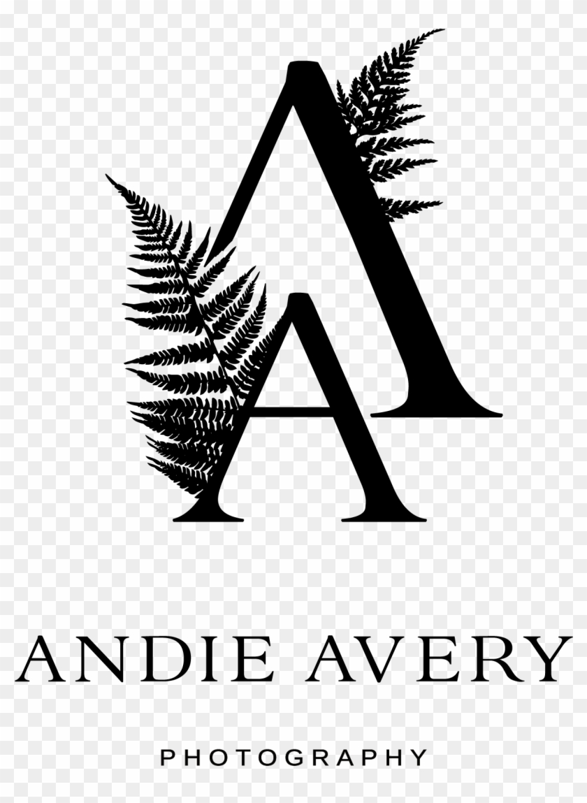 Photography Clipart Wedding Photographer - American Quarter Horse Association Logo - Png Download #5161464