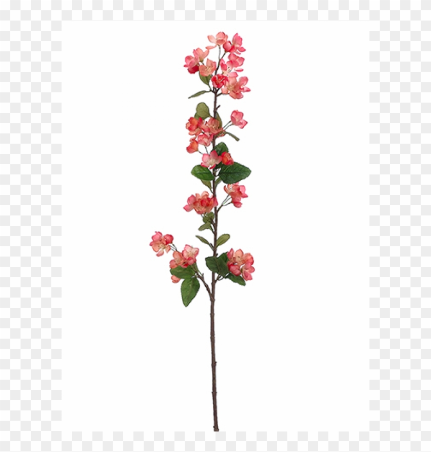 42" Apple Blossom Spray Two Tone Coral - Artificial Flower Clipart