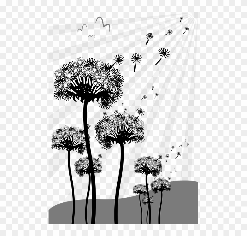 Dandelion Seeds Nature Pointed Flower Spring - Animasi Orang Tiup Dandelion Flower Clipart