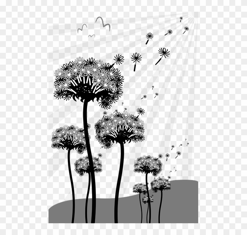 Dandelion Seeds Nature Pointed Flower Spring - Animasi Orang Tiup Dandelion Flower Clipart #5161968