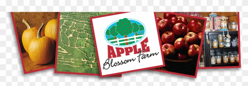 We Apologize - Mcintosh Clipart