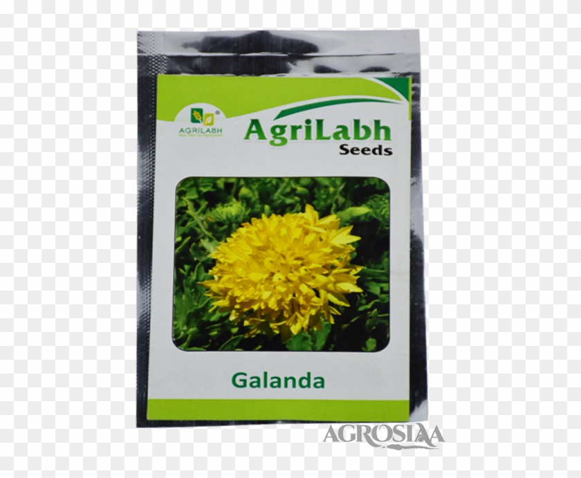 Agrilabh - Galanda Flower Clipart #5162499