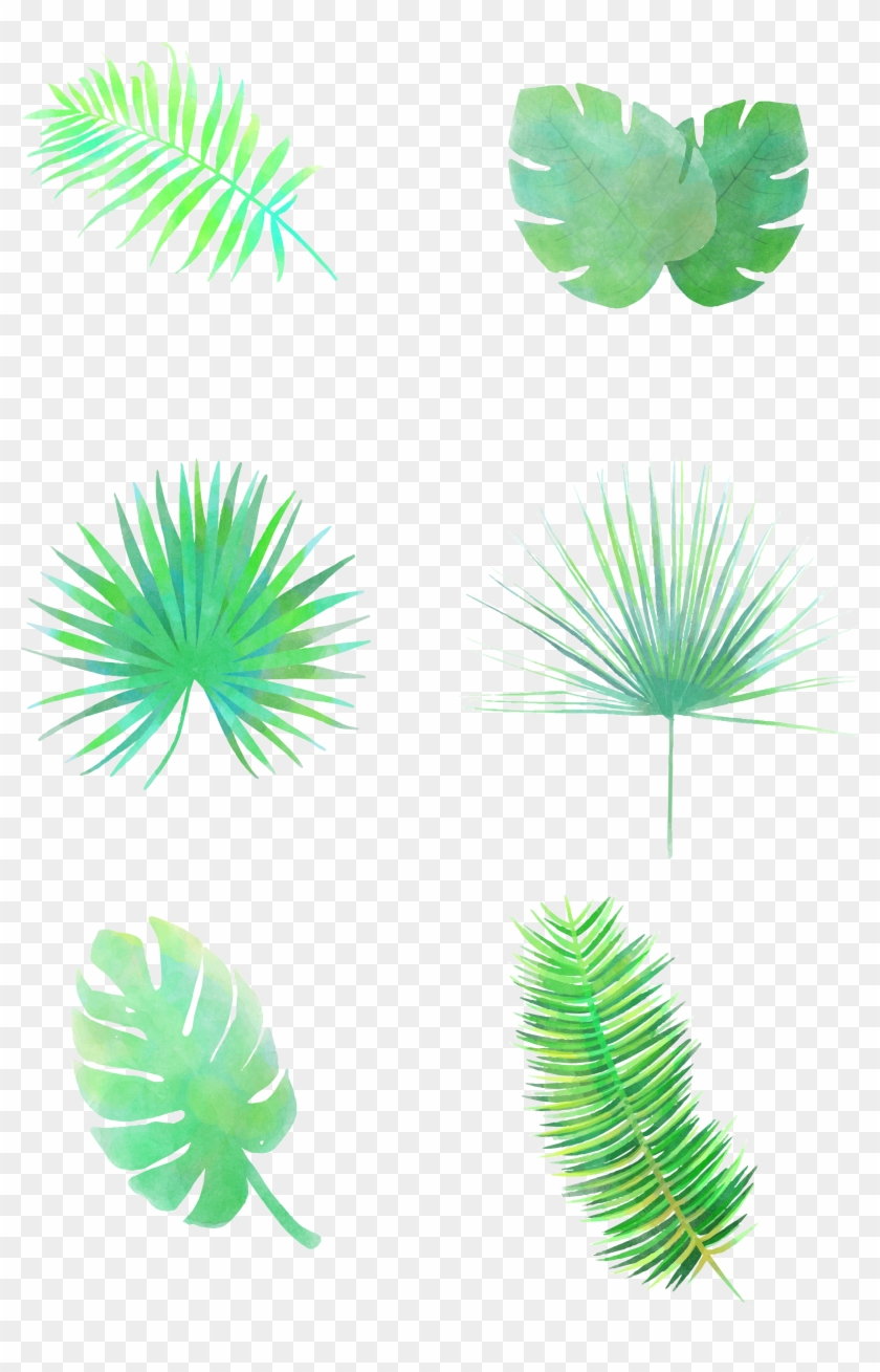 Folhas Frescos Desenhados À Mão Minimalistas Png E - Vector Graphics Clipart