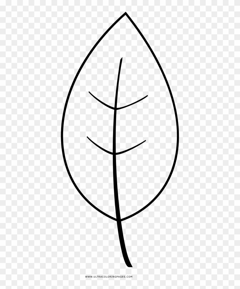 Leaf Coloring Page - Line Art Clipart