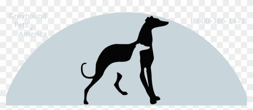 Greyhounds Make Great Pets - Greyhound Pets Of America Clipart