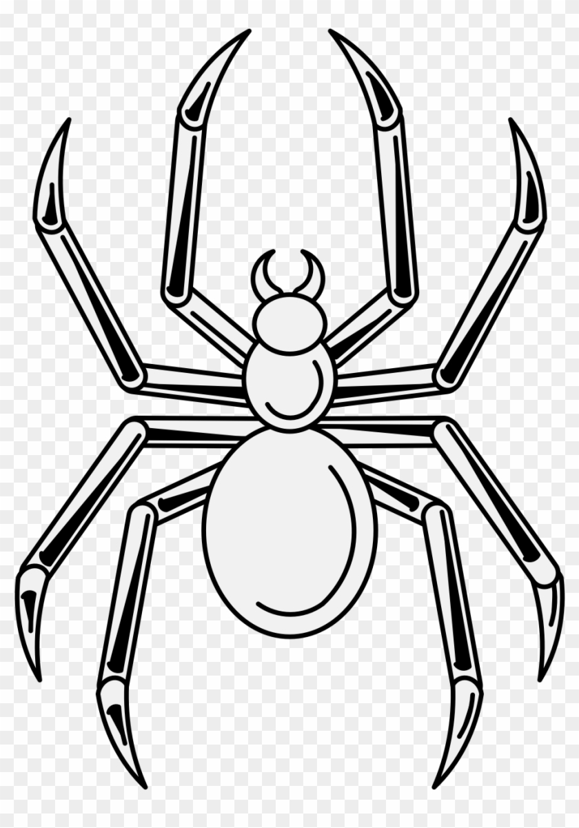 Details, Png, Svg - Cartoon Clipart #5163185