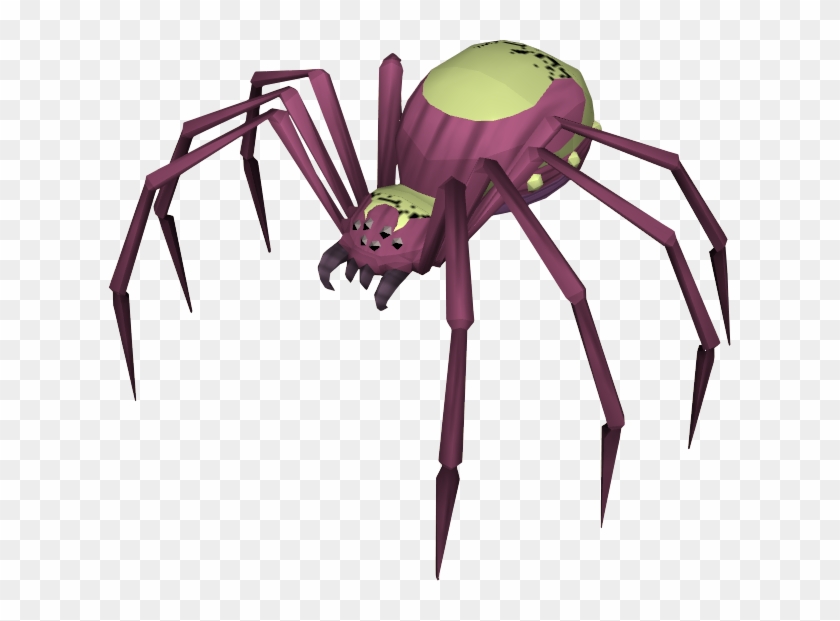 Araneus Cavaticus Clipart #5163394