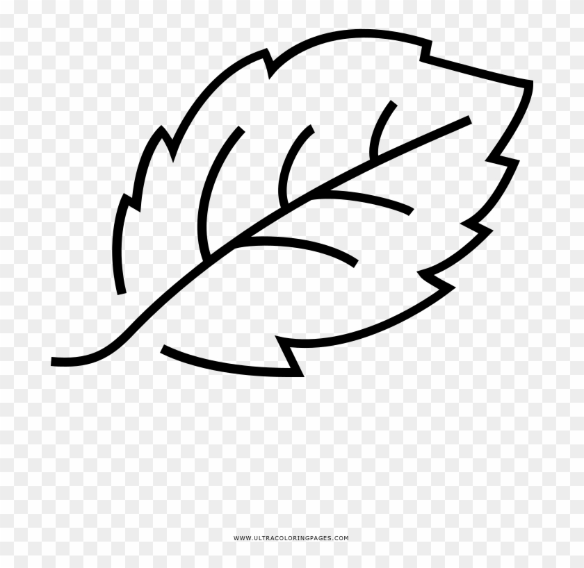 Folha Desenho Para Colorir - Line Art Clipart