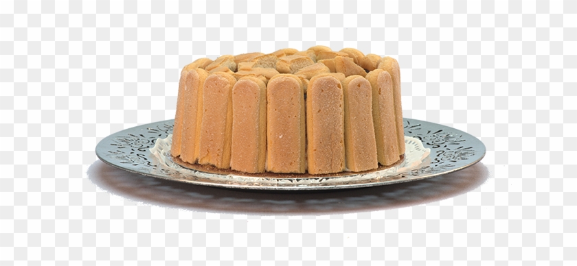 Tiramisu - Chocolate Cake Clipart #5163648