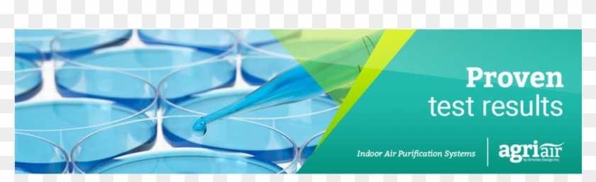 Http - Graphic Design Clipart #5163744