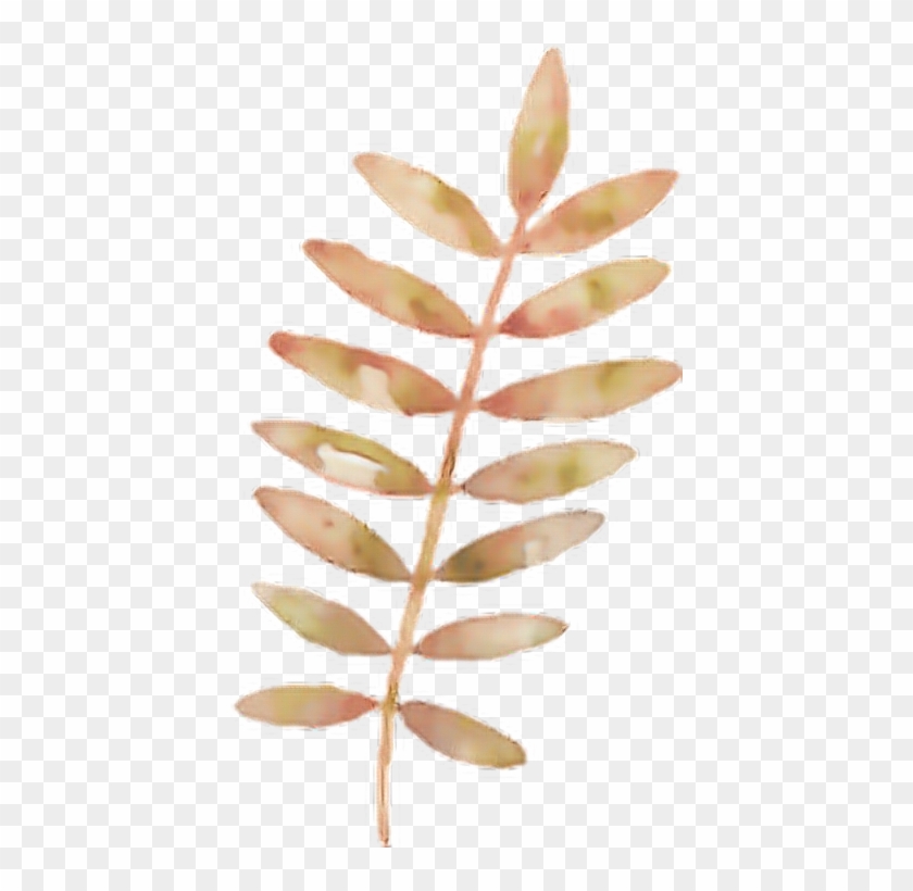 Folha Sticker - Transparent Background Watercolor Flower Png Clipart