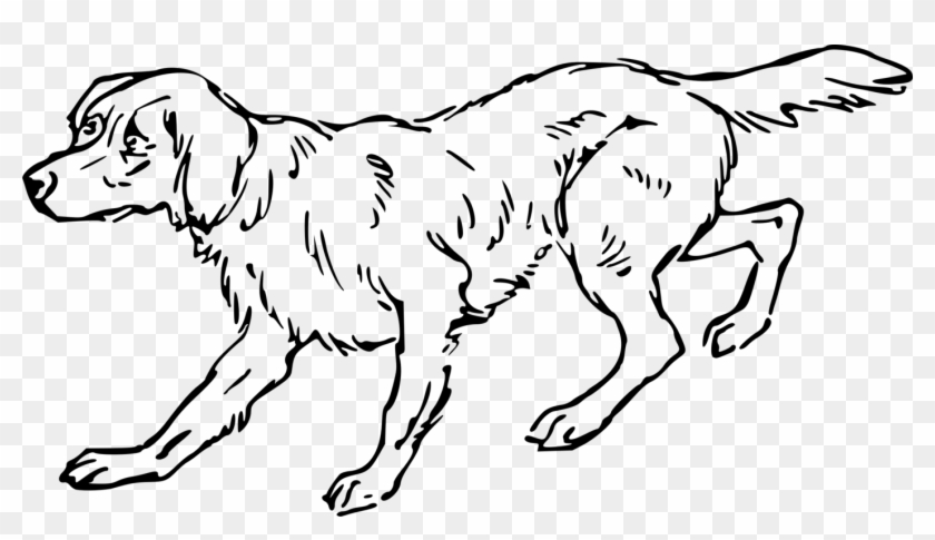 Dog Breed Computer Icons Black And White Line Art Greyhound - Line Art Clipart