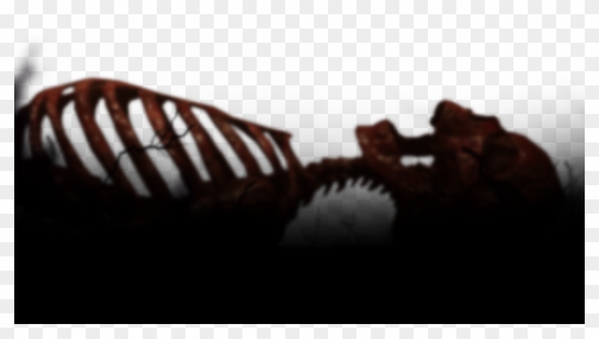 A Plague Tale - Macro Photography Clipart #5164225